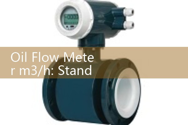 Oil Flow Meter m3/h: Standard Metric Engineering Configurations for Large Pipes